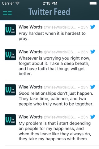 Quotes And Wise Words screenshot 4