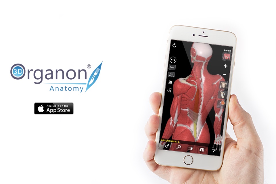 3D Organon Anatomy - Muscles, Skeleton, and Ligaments screenshot 4