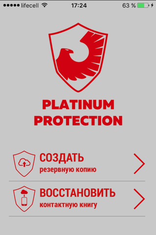 Platinum Protection screenshot 4