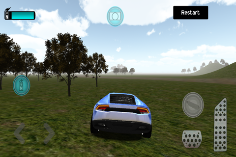 Country Drive Arena screenshot 3