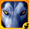 3D Wolf Simulator Hunting Pro Challenge - Endless Killing Way to White Wolf Free Games