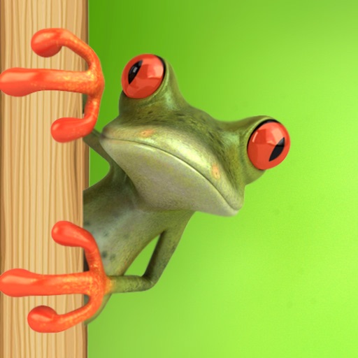 Froggy Road Crossing icon