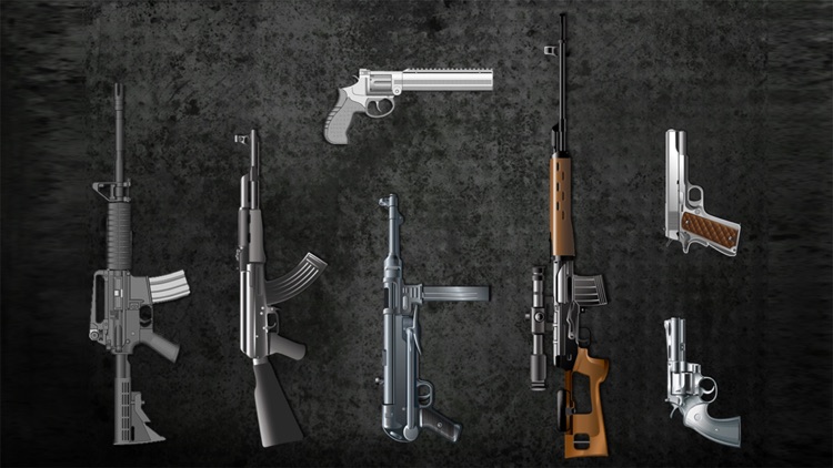 Gun Pro for gun, imitative guns, real guns