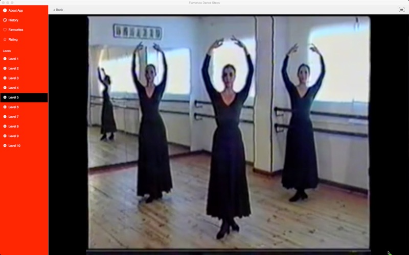 Flamenco Dance Steps thumbnail 4