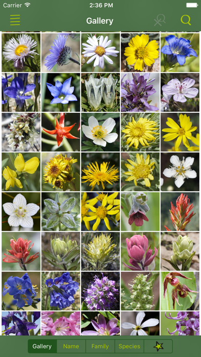 How to cancel & delete Rockies AlpineFlower Finder – a field guide to identify the wildflowers of the Rocky Mountains from iphone & ipad 1