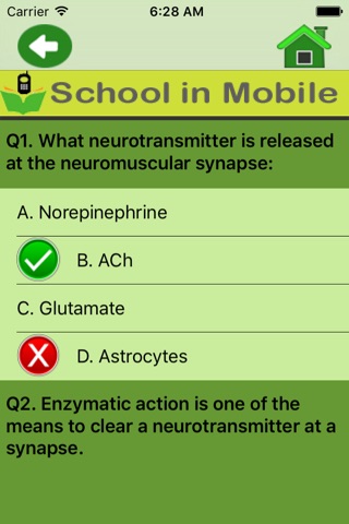Neuroanatomy Exam Prep screenshot 4