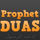 Top 49 Book Apps Like Duas For Daily Life (Prophet Muhammad Prayers Dua & Azkar - صلي على محمد) - Best Alternatives