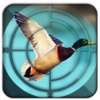 Duck Hunting-3D Pro