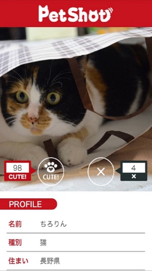 PetShot-犬猫ペットの写真＆動画(圖1)-速報App