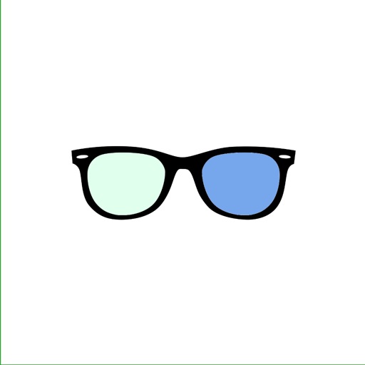 Dyslexia Glasses