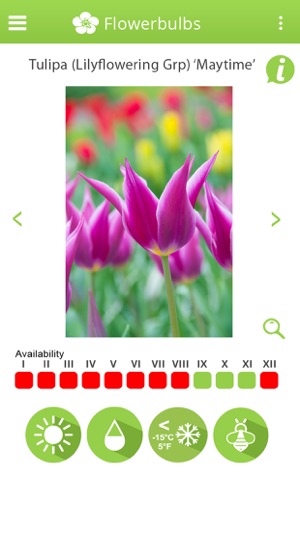 Info-Flowerbulbs(圖4)-速報App