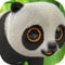 Adventure of Lost Baby Panda in Bamboo Land - Story of the Brave Warrior