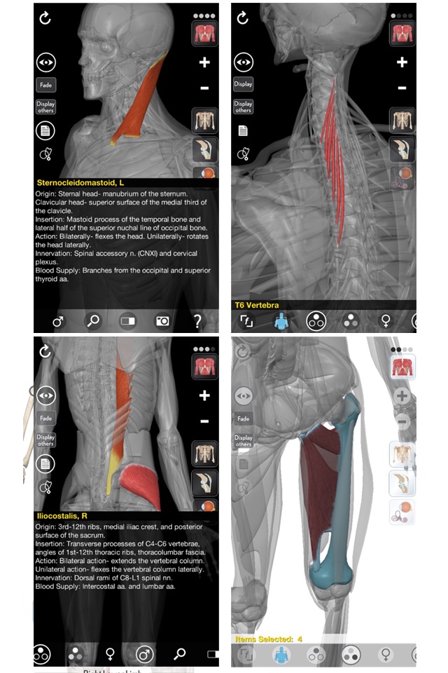 3D Organon Anatomy - Muscles, Skeleton, and Ligaments screenshot 3