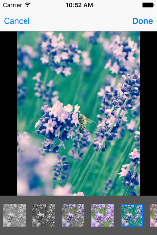 LiveCover: Photo Editor and Camera for Live Photos - náhled