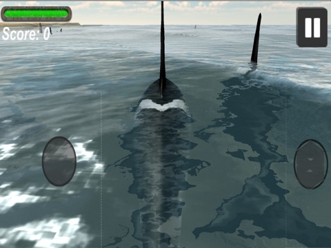 Orca Whale Simulator screenshot 3