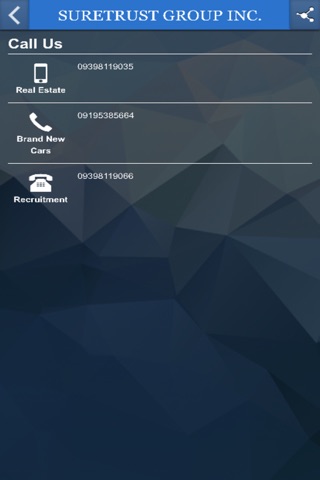 Suretrust Group Inc screenshot 2