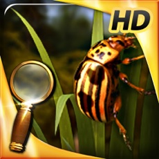 Activities of Treasure Island - The Golden Bug (FULL) - Extended Edition - A Hidden Object Adventure