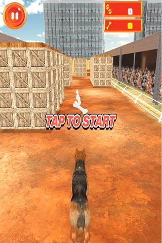 Crazy Dog Surfer - Endless Run screenshot 2