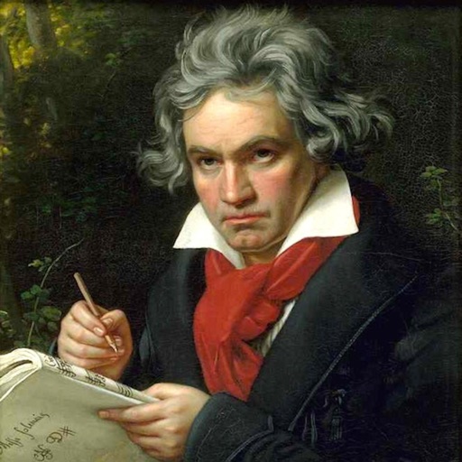 Beethoven Symphony icon