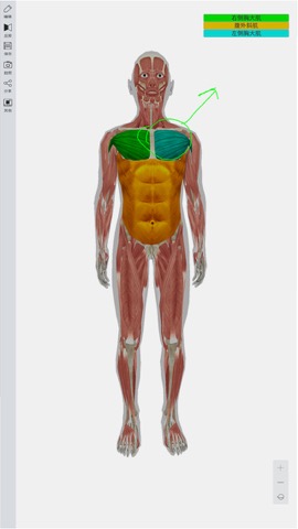 3d人体模型 Iphoneアプリ Applion