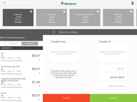 Banterra Business for iPad screenshot 3