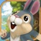 Infinite Rabbit Rush Run