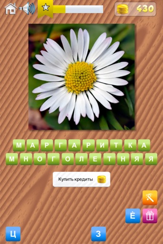 Garden Quiz - Reveal the Plants, Flowers, Trees and Greens from around the world! screenshot 4