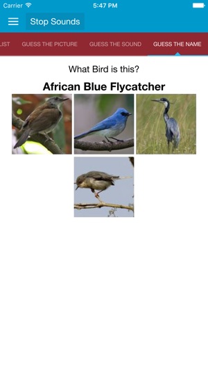 African Birds Sounds(圖3)-速報App