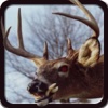 2016 Deer Hunting Simulator - 3D Big Buck Hunter Challenge