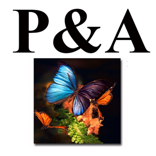 P&A Imaging