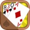 Discover the best collection of solitaire card games ever created for iOS devices