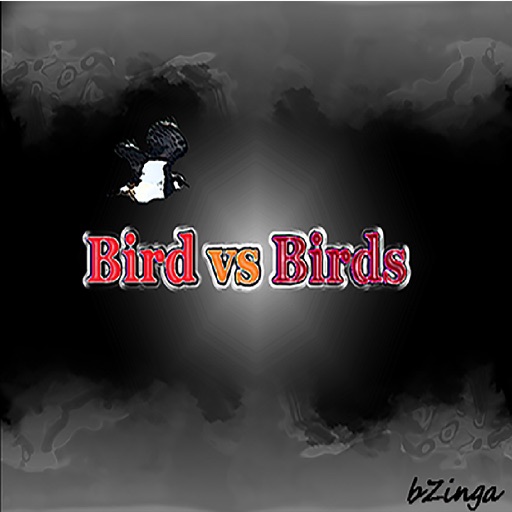 BirdvsBirds iOS App