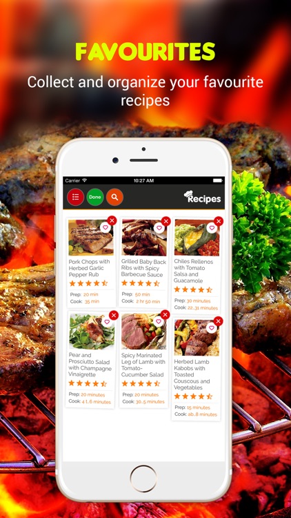 Yummy Grill Recipes Pro screenshot-3