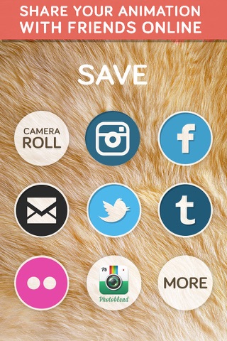 InstaAnimal Plus face & photo editor, effects FUN! screenshot 4