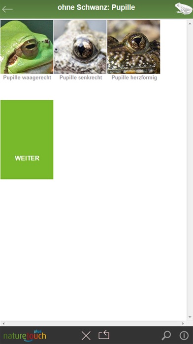 How to cancel & delete Frösche, Kröten, Unken bestimmen from iphone & ipad 3
