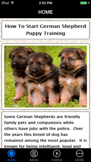 German Shepherd Puppy Training Made Easy - Best Guide & Tips(圖1)-速報App