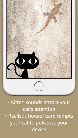 Cat VS Lizard - Entertain your cat(圖2)-速報App