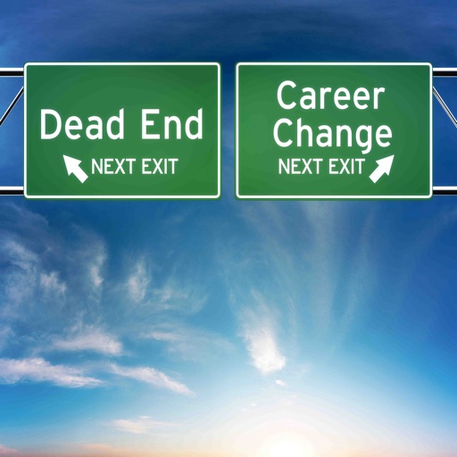 Midlife Career Change: Powerful Choices for Your Next Great Job icon