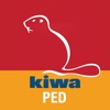 Icon Kiwa Inspecta PED Calculator