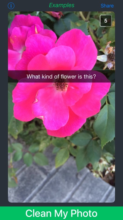 Remove Caption for Snapchat* Screenshots