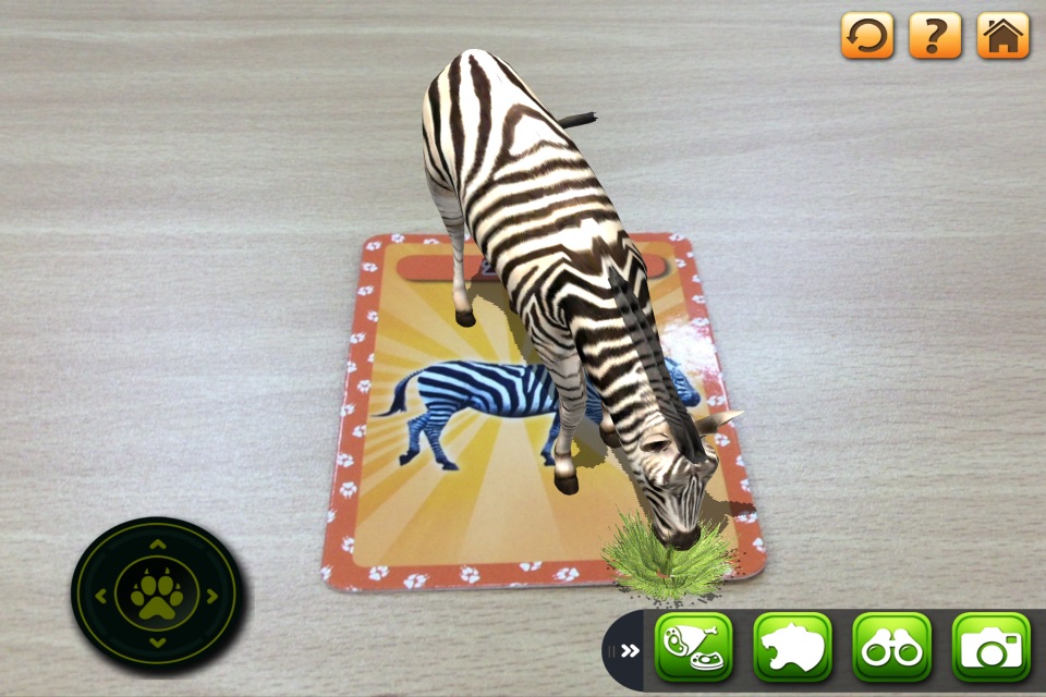 3D LEARNING CARD SAFARI screenshot 3