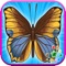 Butterfly coloring book is a free Coloring and drawing games for Kids and adults