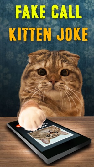 Fake Call Kitten Joke(圖1)-速報App