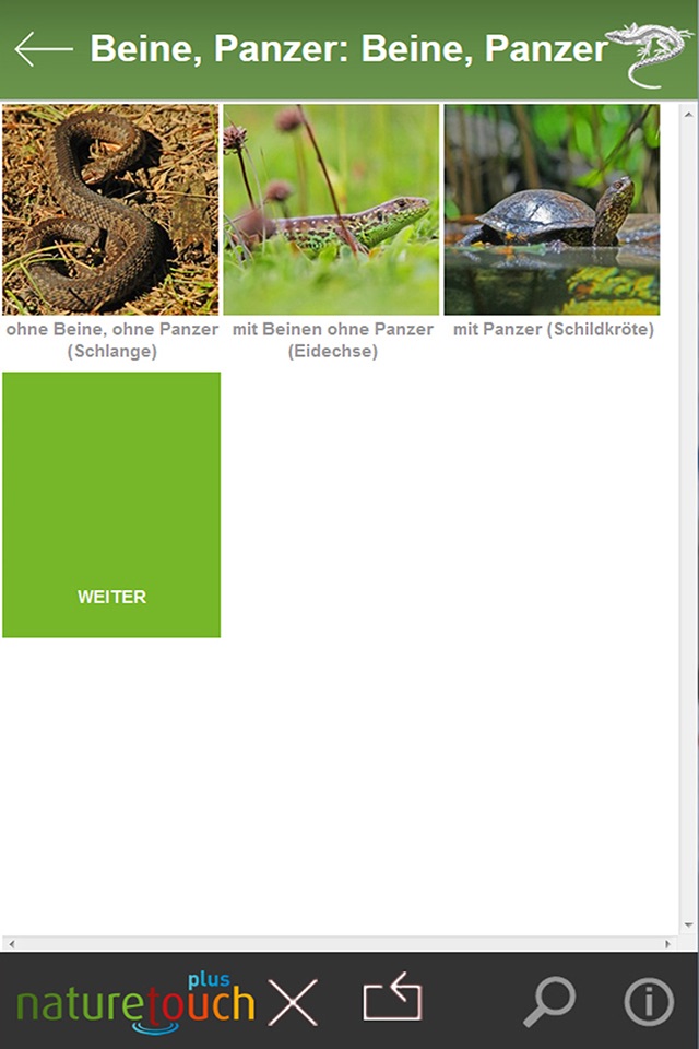 Schlangen, Eidechsen, Schildkröten bestimmen screenshot 2