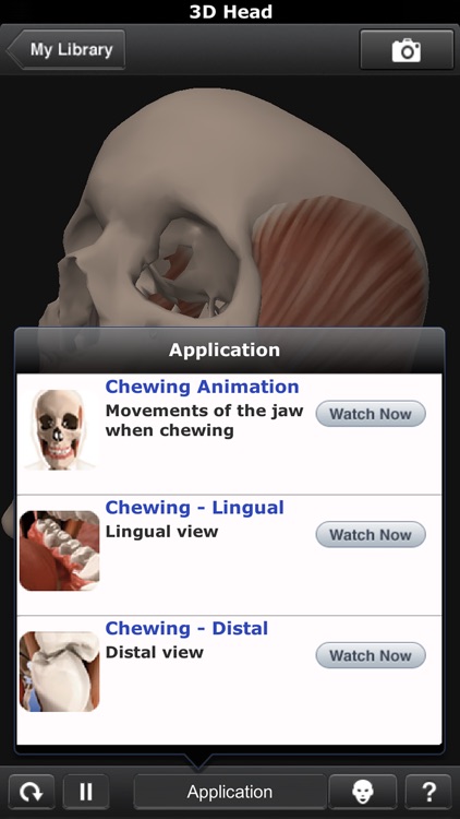 DentalNavi