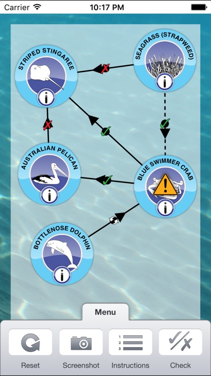 Food Web