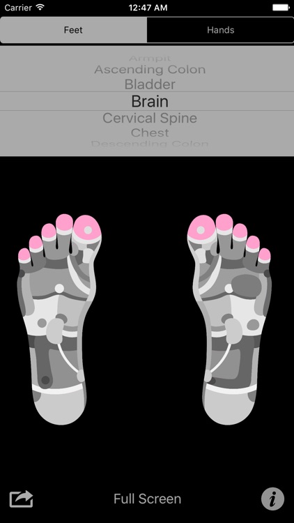 Reflexology Charts
