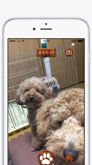 Dog-Lover-Cam(圖3)-速報App