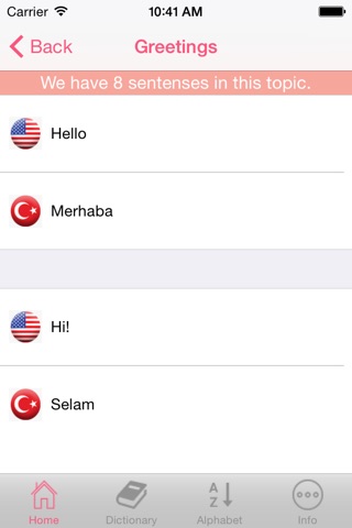 Useful Turkish Phrases screenshot 4