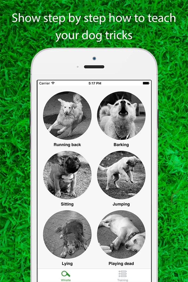 Dog Whistler Free: A Step by Step Guide to Teaching Your Puppy and Dog clicker sound screenshot 2